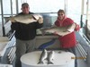 (04/15/2014) - Nice Striped Bass